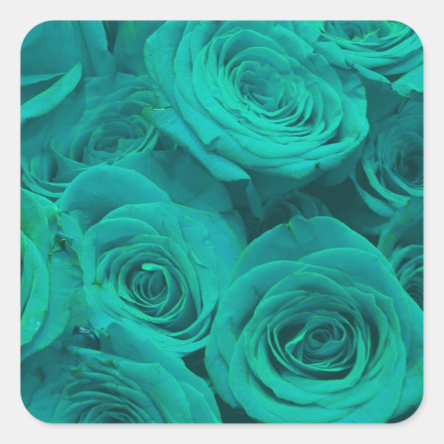 Beautiful teal green roses, teal flowers  square sticker (Front)
