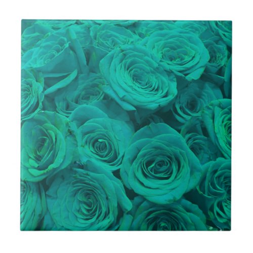 Beautiful teal green roses teal flowers  tile