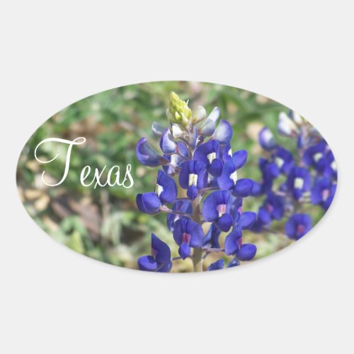 Beautiful Texas Bluebonnet Wildflower Sticker
