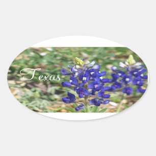 Beautiful Texas Bluebonnet Wildflower Sticker