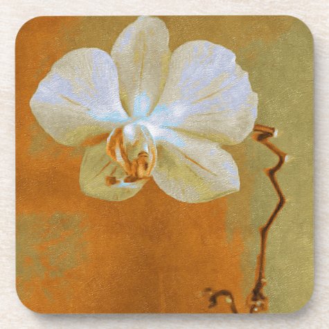 Beautiful Textured Orchid In Shades Of Orange Coaster