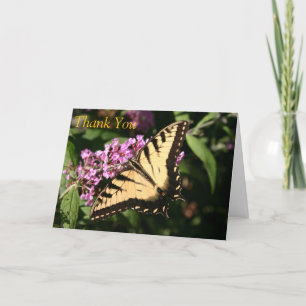 Beautiful Thank You Butterfly on Butterfly Bush