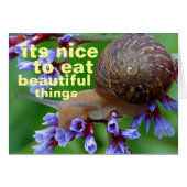 beautiful things (Front Horizontal)