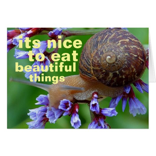 beautiful things cards (Front Horizontal)