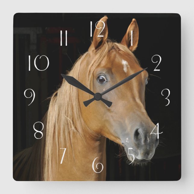 Beautiful thoroughbred arabian in stall square wall clock (Front)