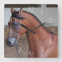 Beautiful thoroughbred arabian stallion square wall clock