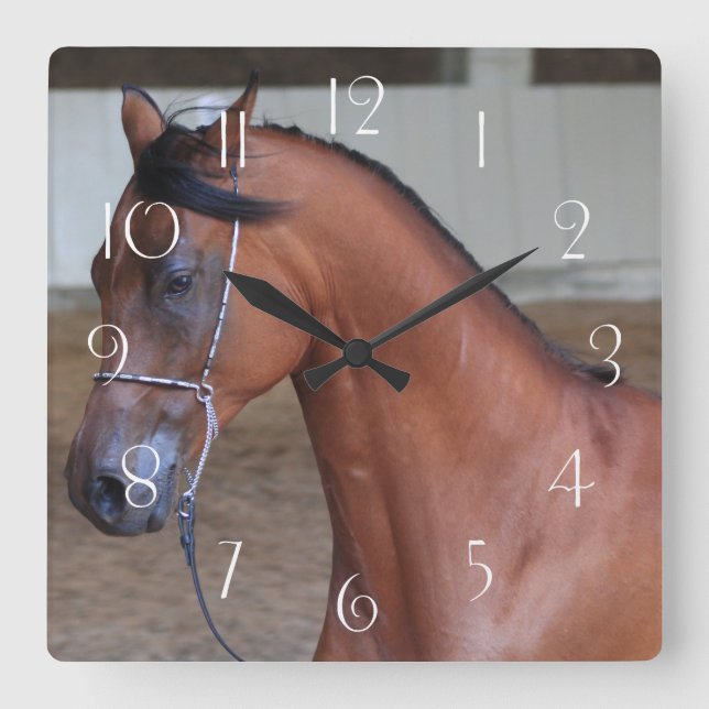 Beautiful thoroughbred arabian stallion square wall clock (Front)