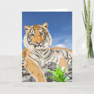 Beautiful Tiger Card