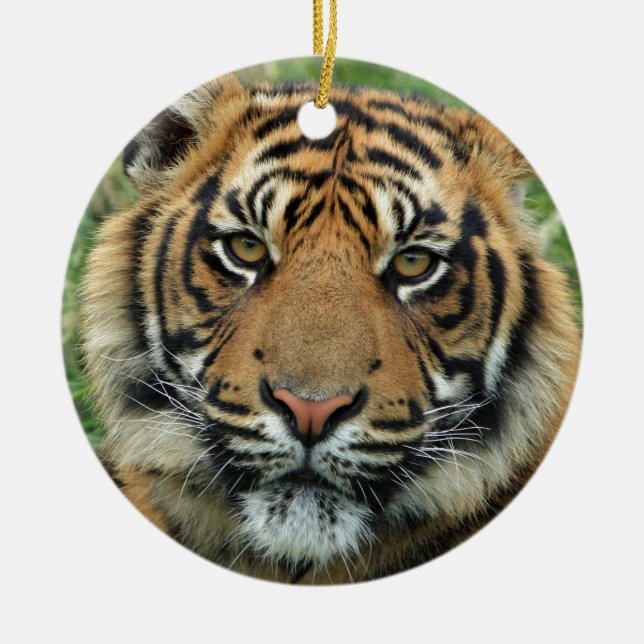 Beautiful Tiger Ceramic Ornament (Front)