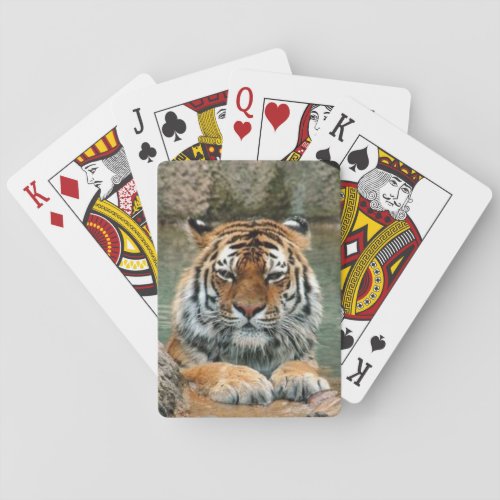 Beautiful Tiger Deck of Playing Cards