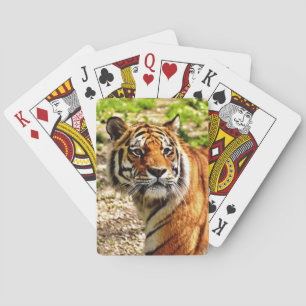 Beautiful Tiger Deck of Playing Cards