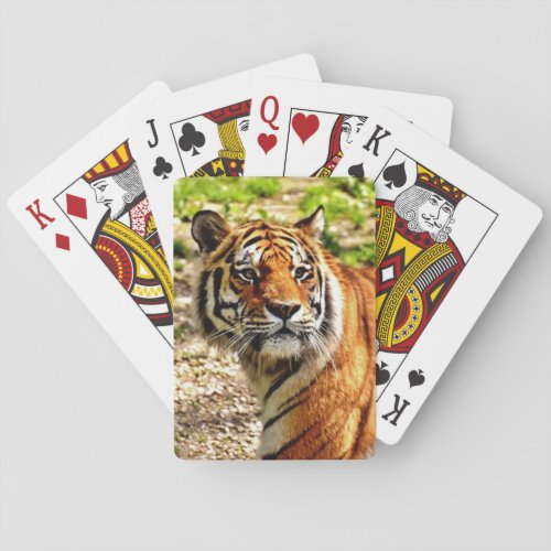 Beautiful Tiger Deck of Playing Cards