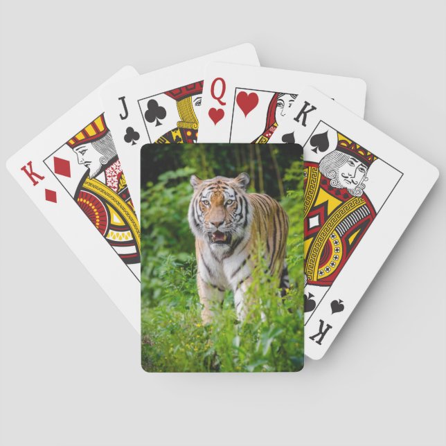 Beautiful Tiger Deck of Playing Cards (Back)