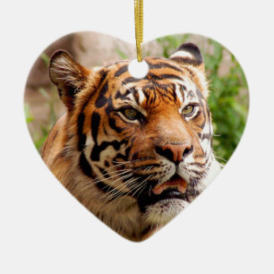 Beautiful tiger face ceramic ornament