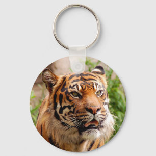 Beautiful tiger face keychain