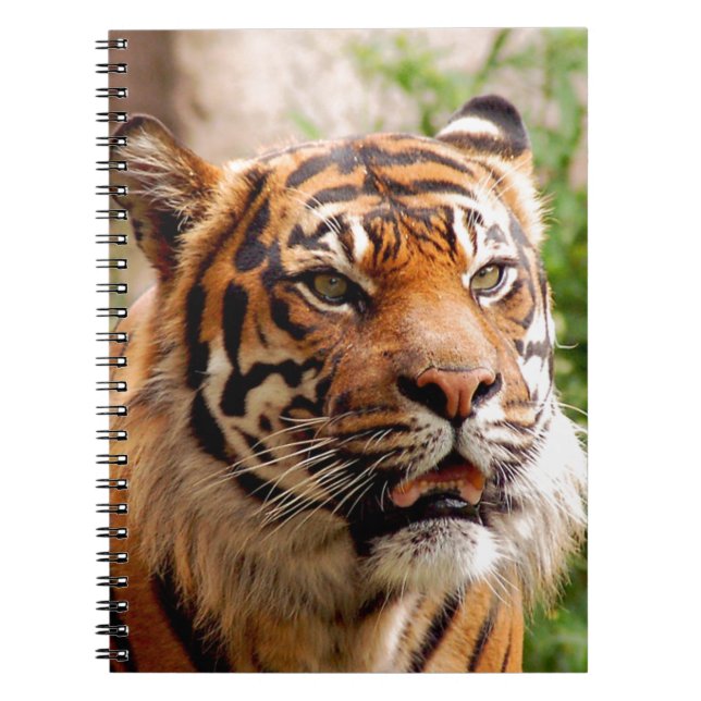 Beautiful tiger face notebook (Front)