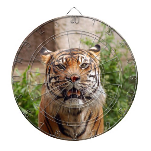 Beautiful tiger face print dartboard with darts