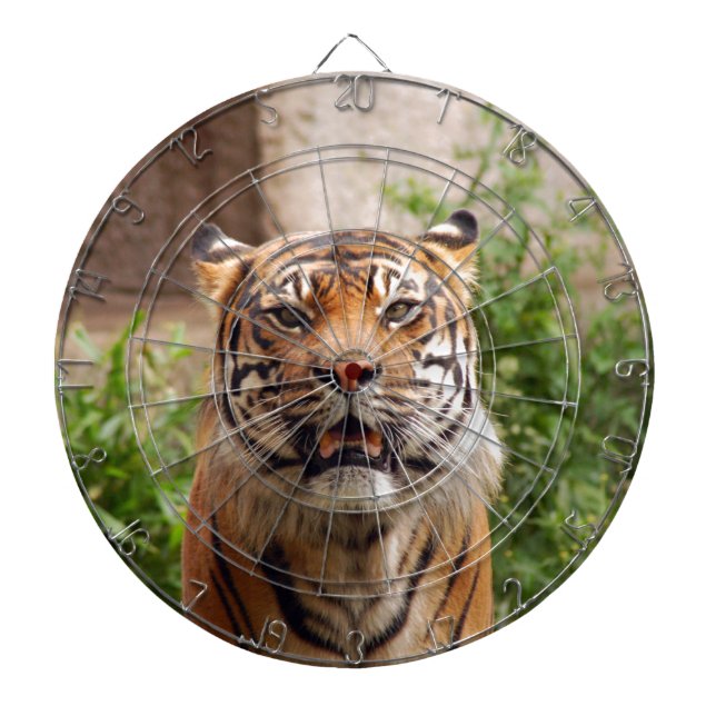 Beautiful tiger face print dartboard with darts (Front)