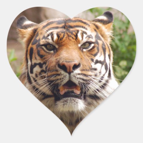 Beautiful tiger face print heart sticker