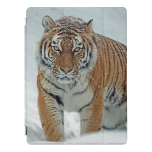 Beautiful Tiger in Snow iPad Pro Cover