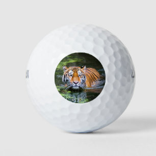 Beautiful Tiger in the water Golf Balls