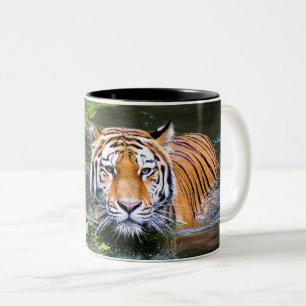 Beautiful Tiger in the water Two-Tone Coffee Mug