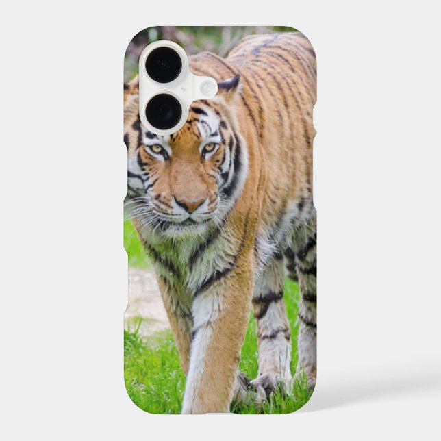 Beautiful Tiger Iphone Case (Back)