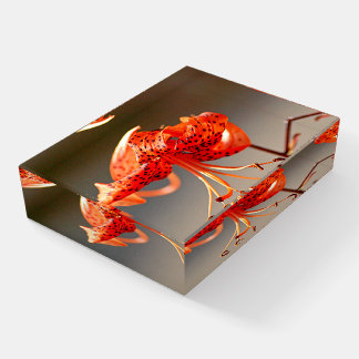 Beautiful Tiger Lily Paperweight