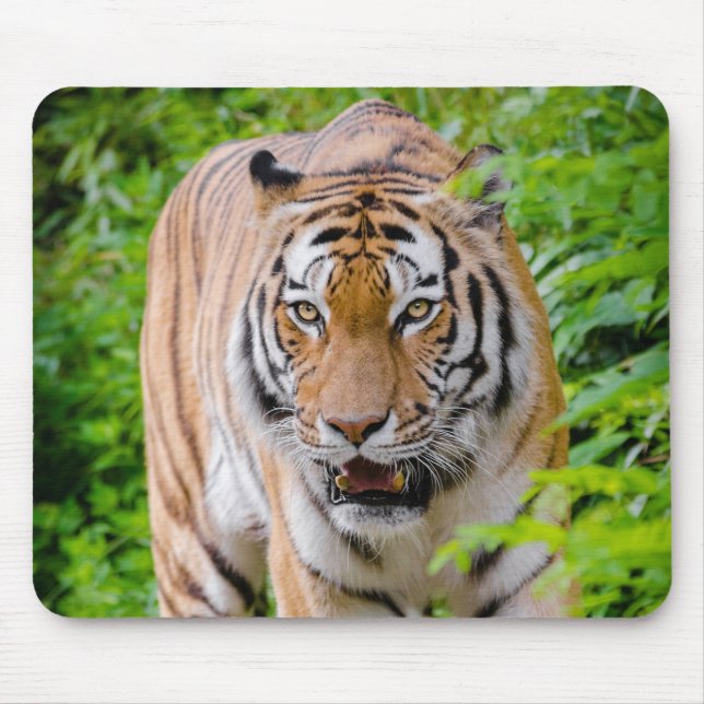 Beautiful Tiger Mouse Mat (Front)