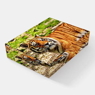 Beautiful Tiger Paperweight