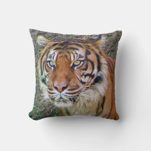 Beautiful Tiger Pillow! Throw Pillow