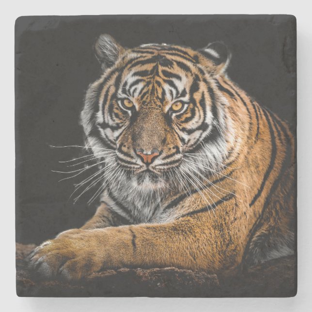 Beautiful Tiger with Black Background Stone Coaster (Front)