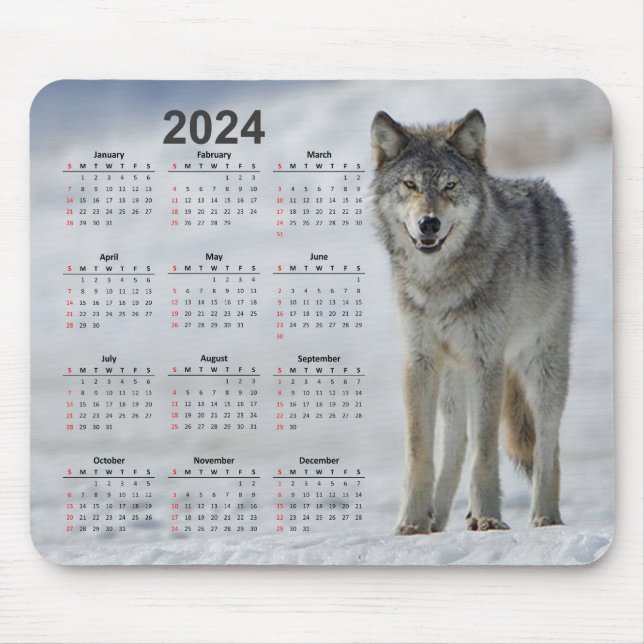 Beautiful Timber Wolf 2024 Calendar Mouse Pad (Front)