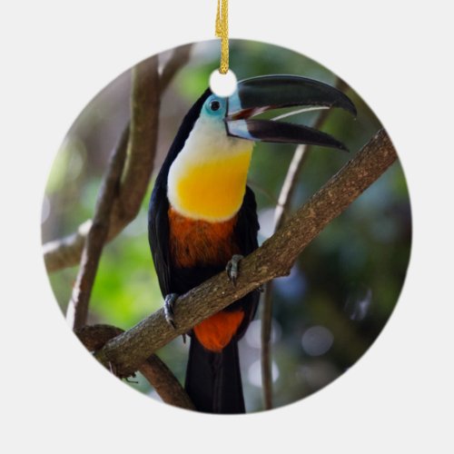 Beautiful toucan bird in a tree nature scenery ceramic ornament