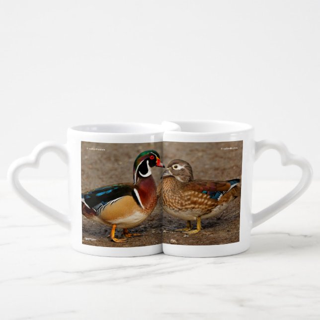 Beautiful Touching Moment Between Wood Ducks Coffee Mug Set (Front Nesting)