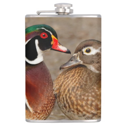 Beautiful Touching Moment Between Wood Ducks Hip Flask