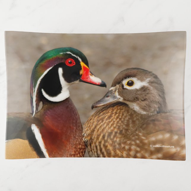 Beautiful Touching Moment Between Wood Ducks Trinket Tray (Front)