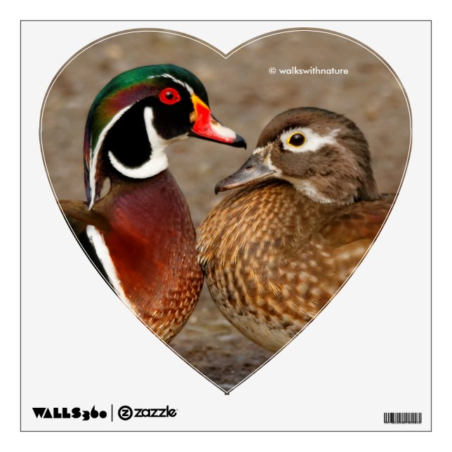 Beautiful Touching Moment Between Wood Ducks Wall Sticker (Front)