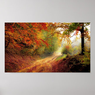 Beautiful Tree Avenue Autumn Season Poster