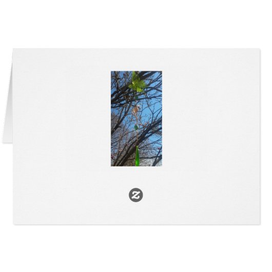 Beautiful Tree Branches Magnolia Tree Blank Card (Back Horizontal)