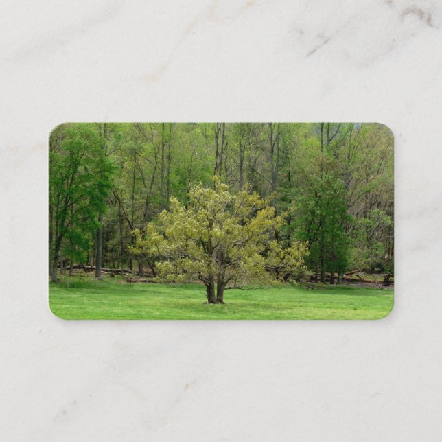 Beautiful Tree Business Cards (Front)