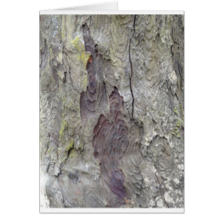 Beautiful Tree Cards
