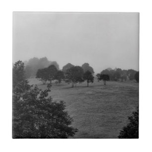 Beautiful trees and nature in fog ceramic tile