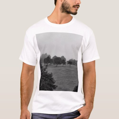 Beautiful trees and nature in fog T_Shirt