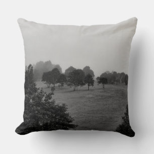 Beautiful trees and nature in fog throw pillow