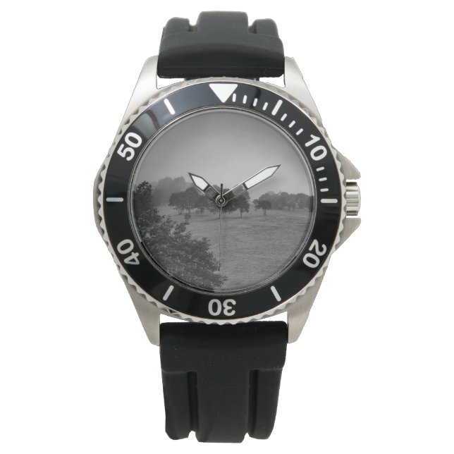 Beautiful trees and nature in fog watch (Front)