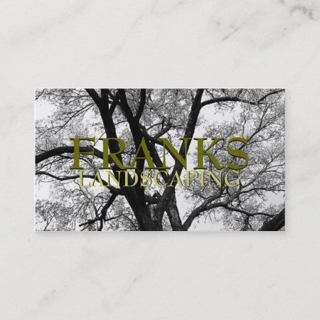 Beautiful Trees Nature Business Cards