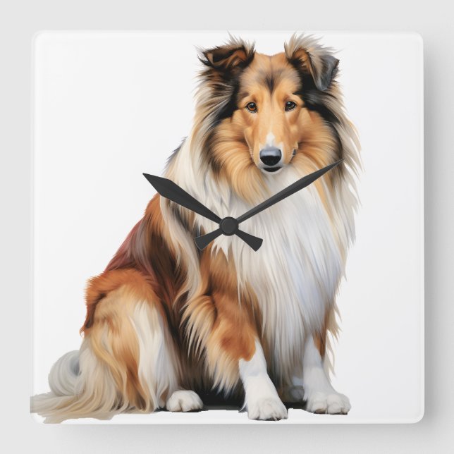 BEAUTIFUL TRI-COLORED LONG HAIRED COLLIE DOG SQUARE WALL CLOCK (Front)