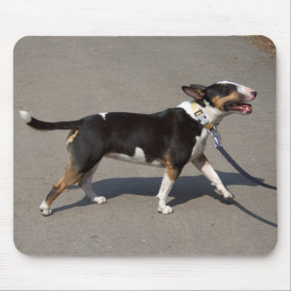 Beautiful Tricolored Bullterrier Mouse Pad