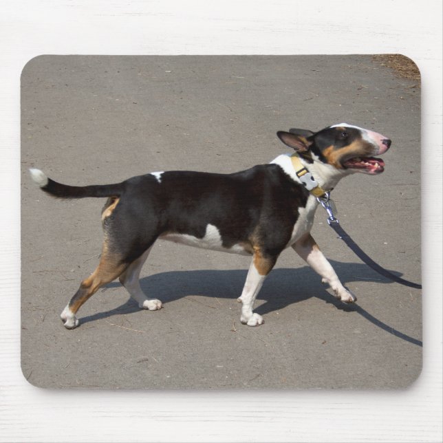Beautiful Tricolored Bullterrier Mouse Pad (Front)